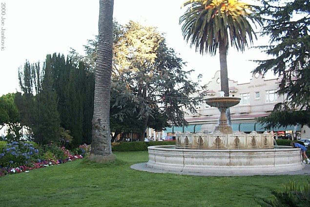 Fountain in Garden