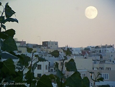 Moon Over Telegraph Hill